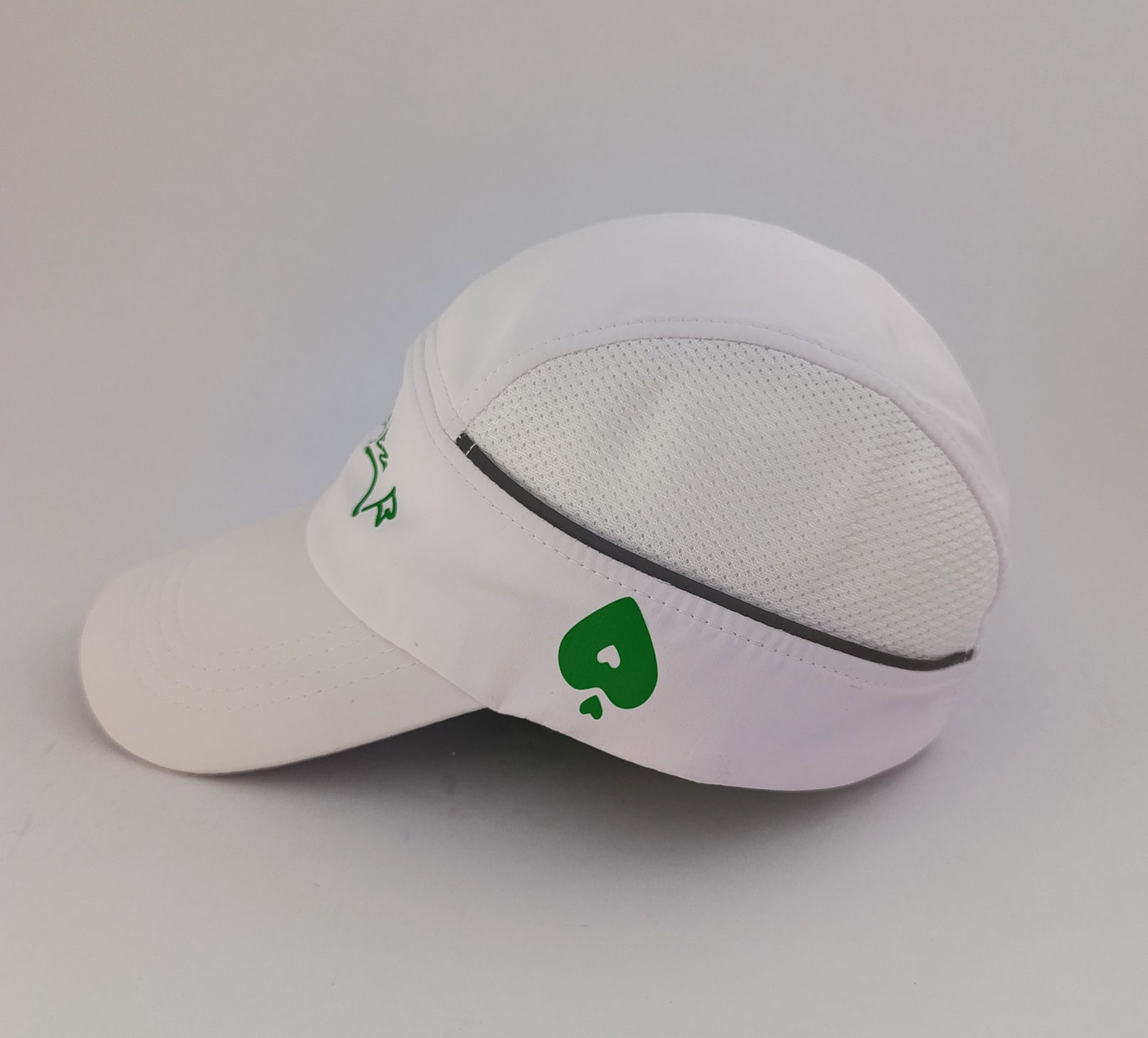 La ruta Cap - Verde